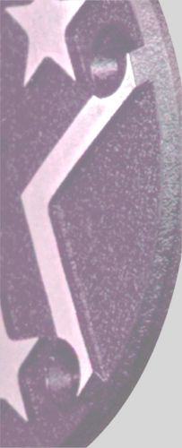 raised design